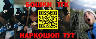 индика Заводоуковск