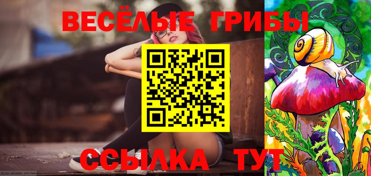 Псилоцибиновые грибы мицелий  Галлюциногенные грибы Psilocybine cubensis  Буйнакск  Вход с VPN 